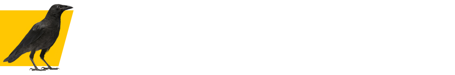 0% progress bar with crow and gold angled bar.
