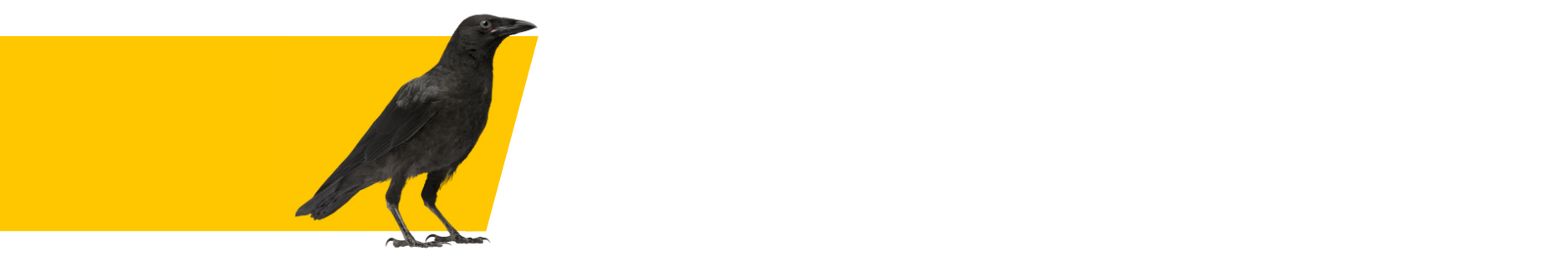 25% progress bar with crow and gold angled bar.