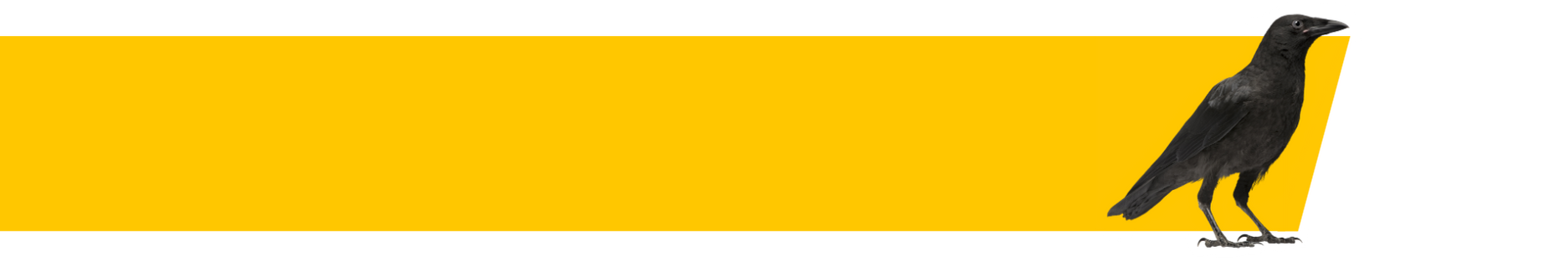 75% progress bar with crow and gold angled bar.