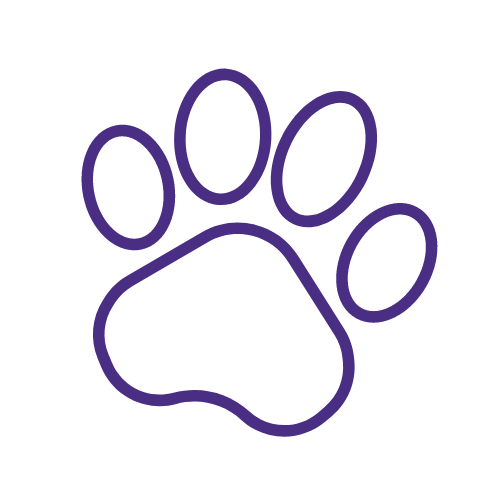 paw print icon