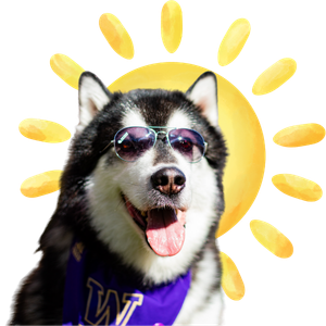 Husky with Sunglasses for event branding