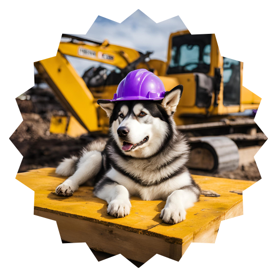 Husky dog in purple hard hat on a construction site.